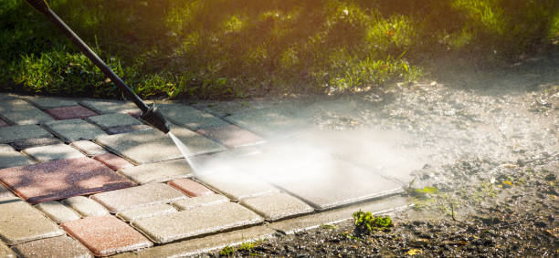 Animal Enclosure Cleaning in Grayson, GA
